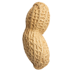 Peanut