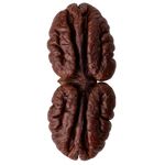 Pecan