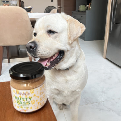 Nutty Paws for Dogs - Peanut Butter with Pumpkin Seeds & Chia Seeds | Zivvy's