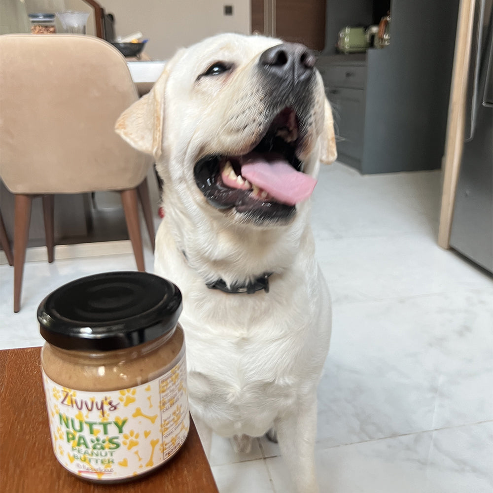 Nutty Paws for Dogs - Peanut Butter with Pumpkin Seeds & Chia Seeds | Zivvy's