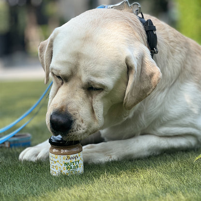 Nutty Paws for Dogs - Peanut Butter with Pumpkin Seeds & Chia Seeds | Zivvy's