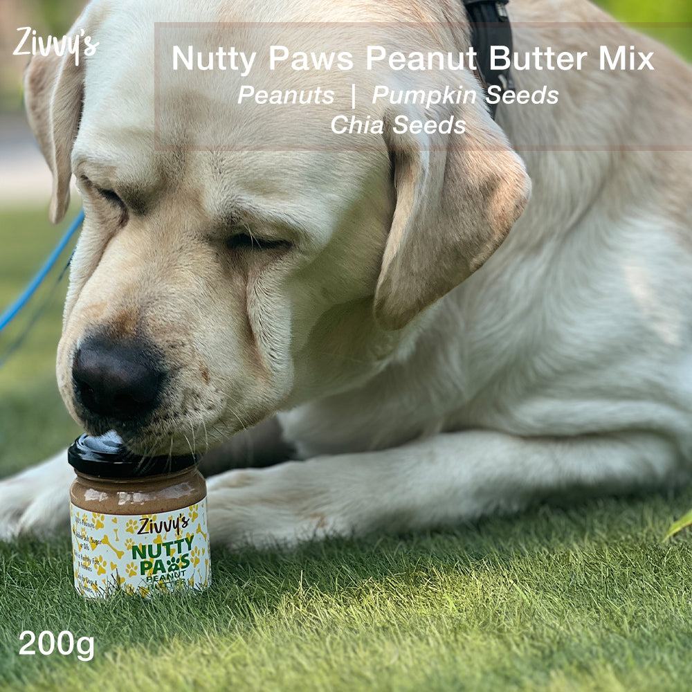 เนยถั่วลิสง Nutty Paws ผสมเมล็ดฟักทองและเมล็ดเจีย สำหรับสุนัข | Zivvy's